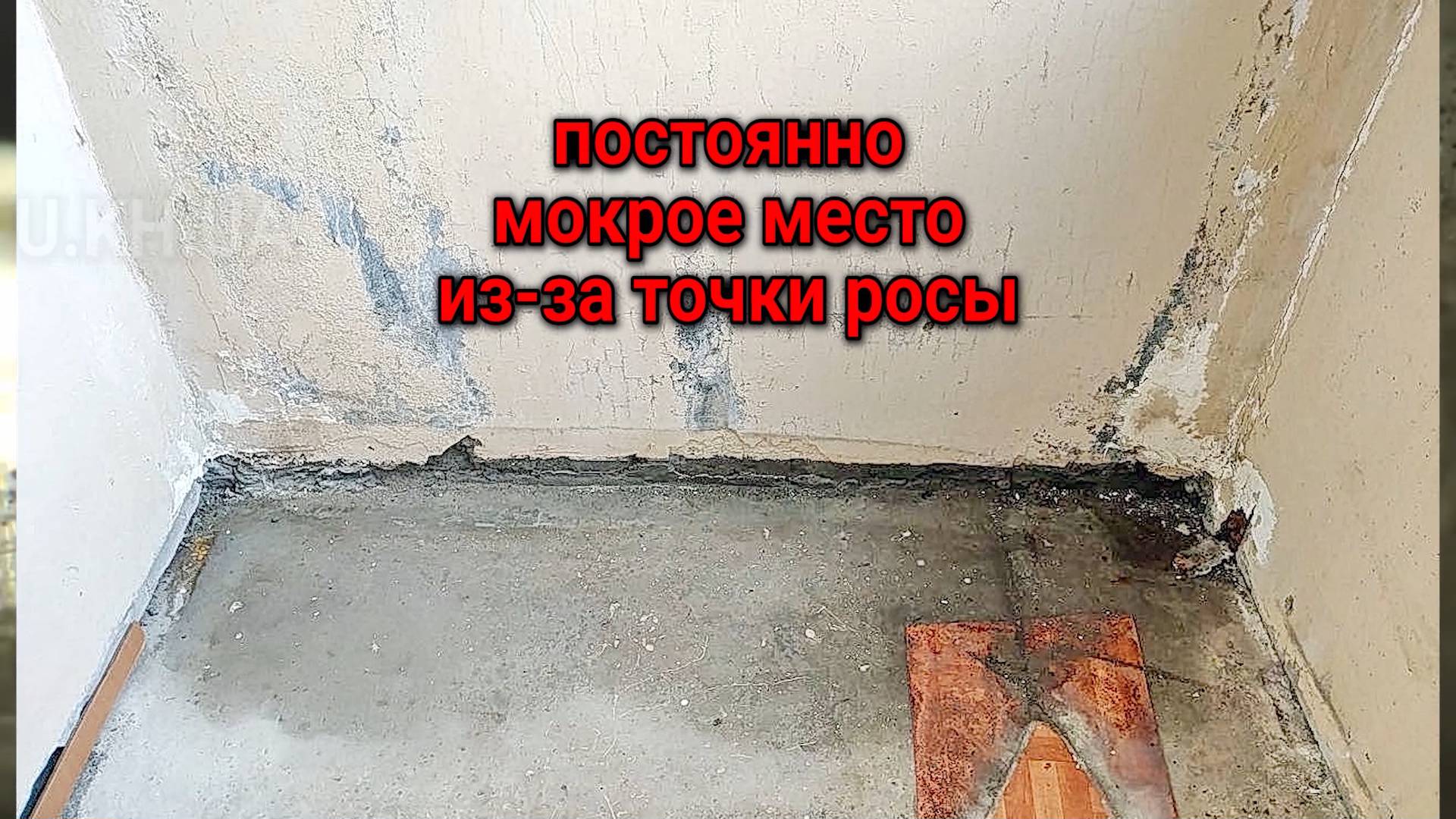 ������� ������� - ������ ����� ��-�� ����� ����