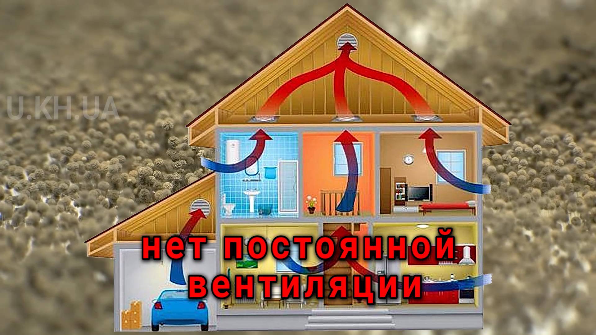 ������ �������� �� ������� - ��������� � ����������