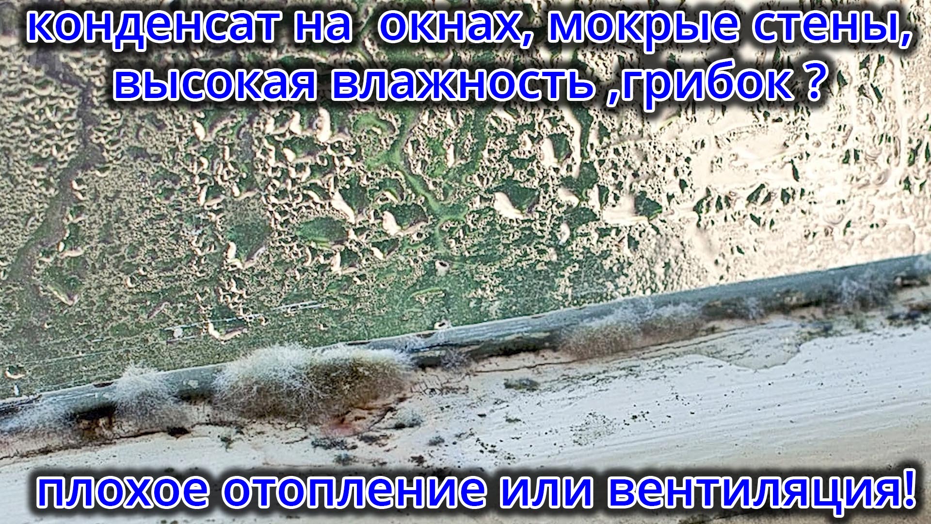 ��������� �� �����, ������ �����, ������ - ������ ������ ��������� � ����������