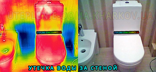 ����� ������ ���� ������������